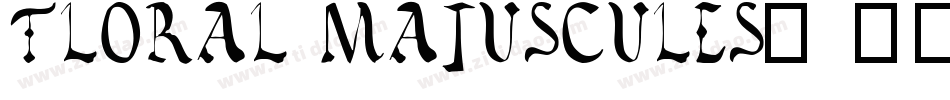 Floral Majuscules, 11th c.字体转换